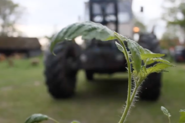 Riosenti / Living Bridge 07.Okt